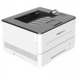 Pantum P3010DW (принтер, лазерный, монохромный, А4, 30 стр/мин, 1200 X 1200 dpi)