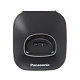 Panasonic KX-TG1611RUH